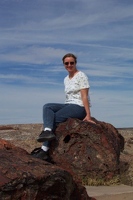 Kay on petrified log